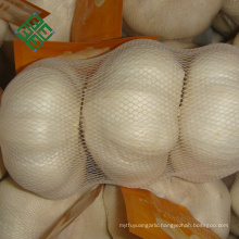 loose packing pure white garlic with good quality